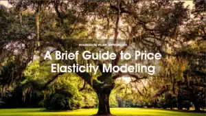 Guide on price elasticity modeling for data analysis and business insights.