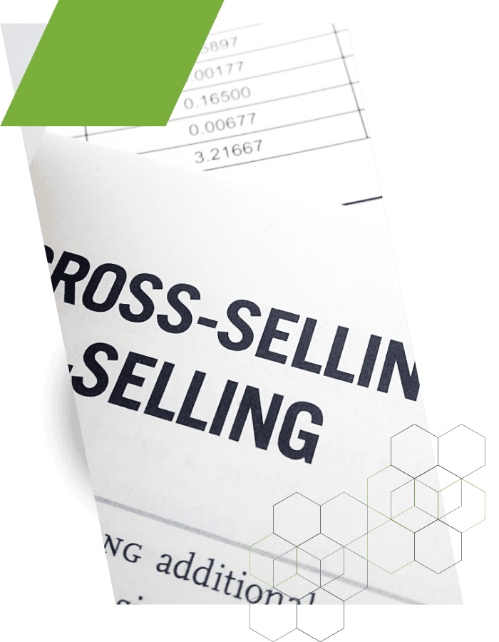 AI-driven churn reduction and cross-sell strategies for business growth.